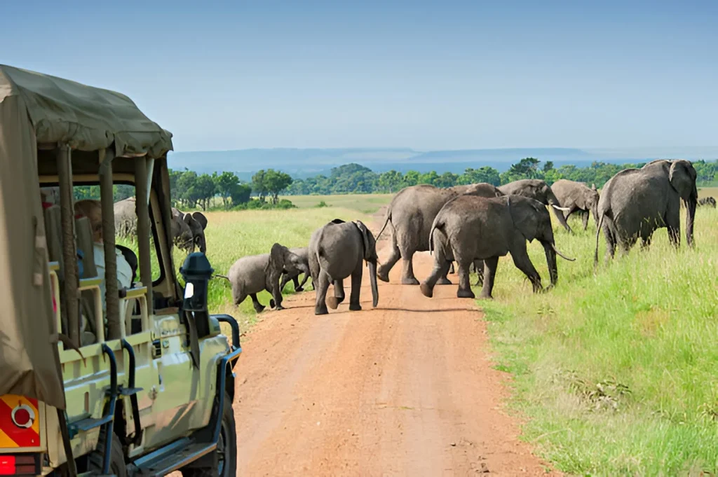 7 Days Tanzania Classic Photographic Safari
