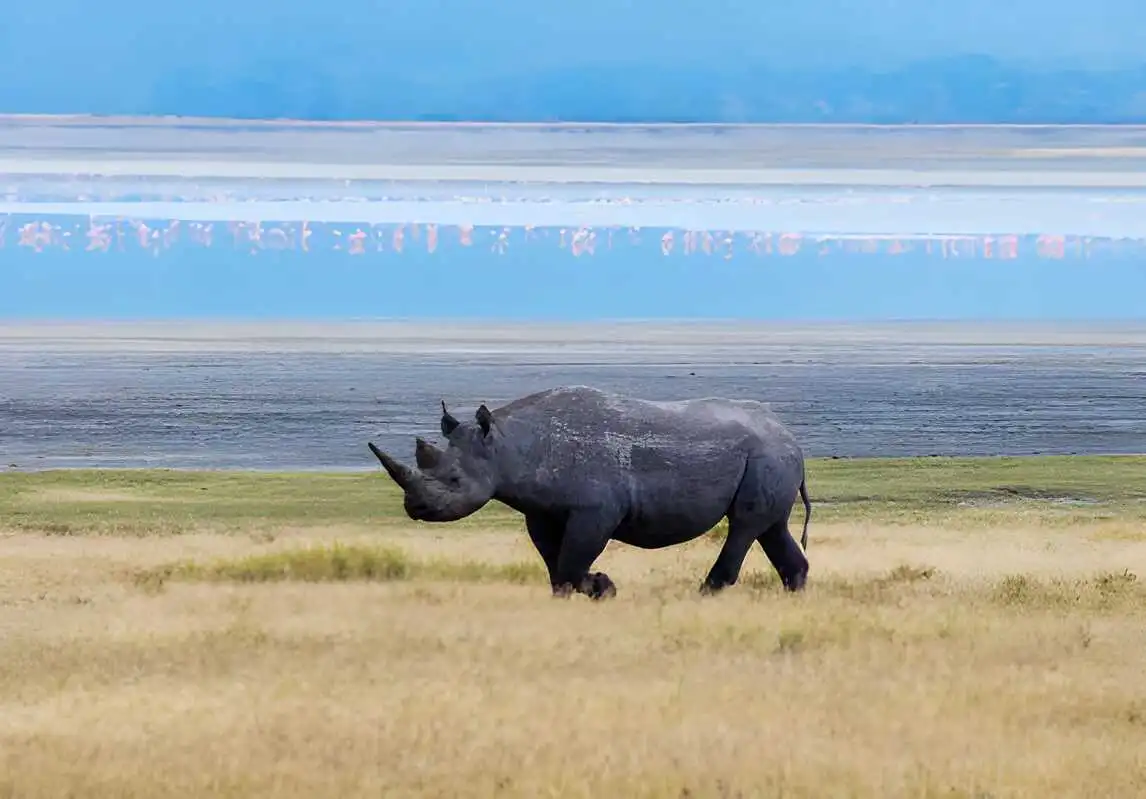 5 Days Serengeti Big Five Adventure