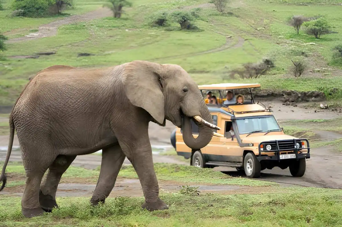 7 Days Luxury Big Five Safari