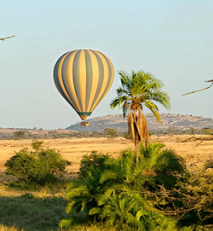 7 Days Luxury Fly-in Safari – Serengeti, Tarangire & Ngorongoro