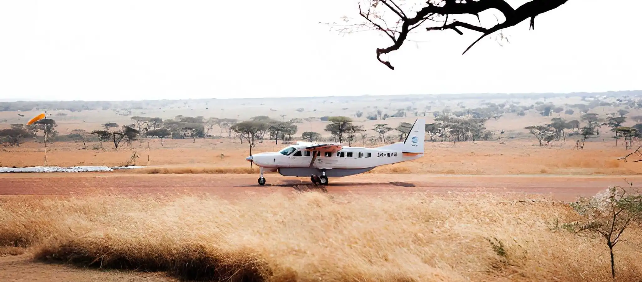Luxury Fly-in Safaris