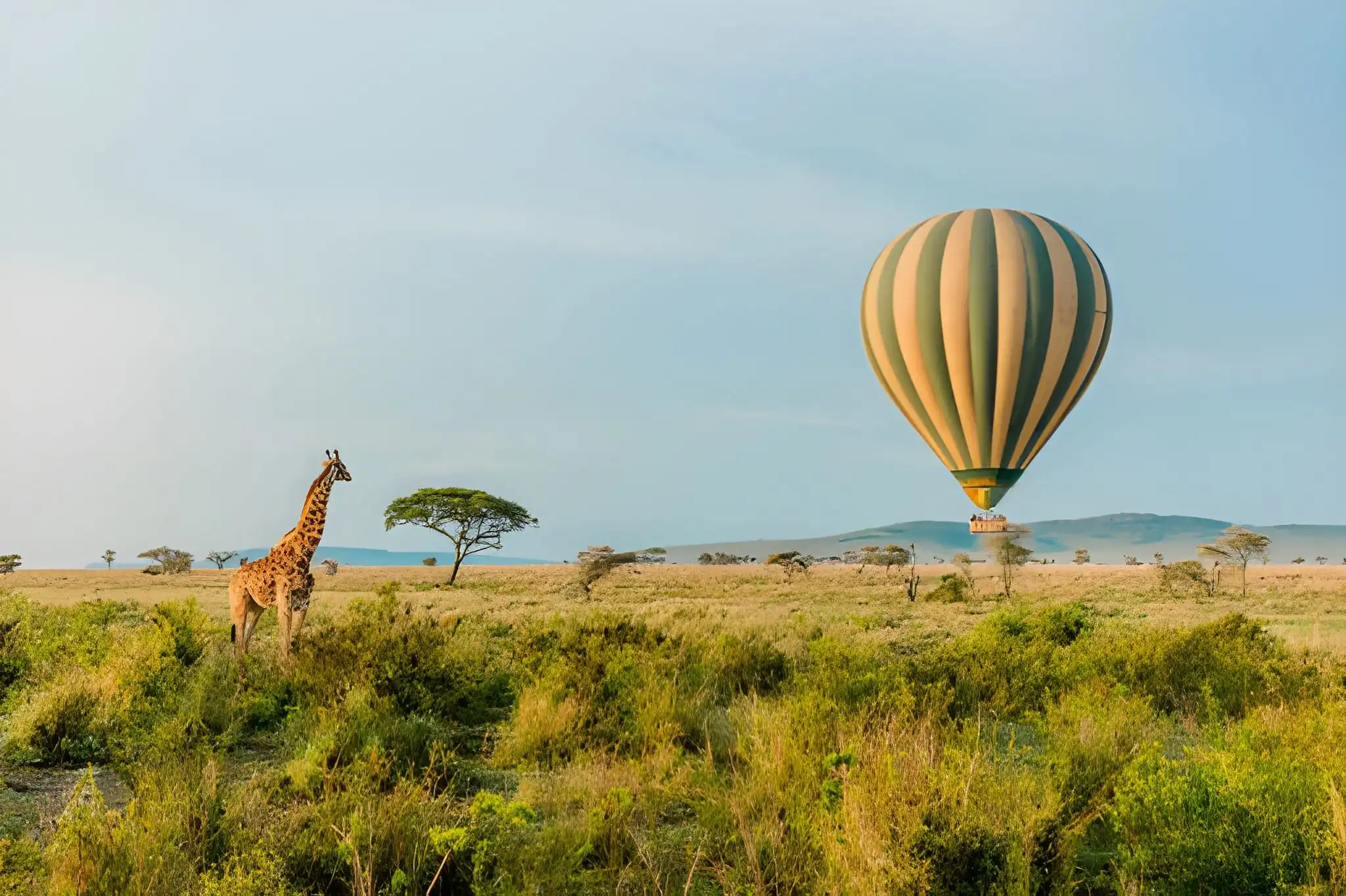 Hot Air Balloon Safari