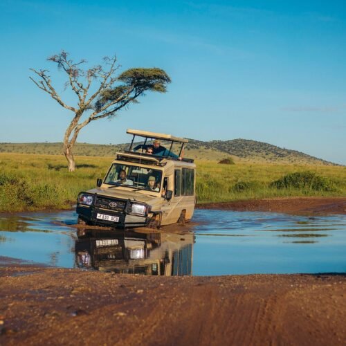 A Tanzania Safari in May is one of the most peaceful and beautiful times to explore the country’s national parks.