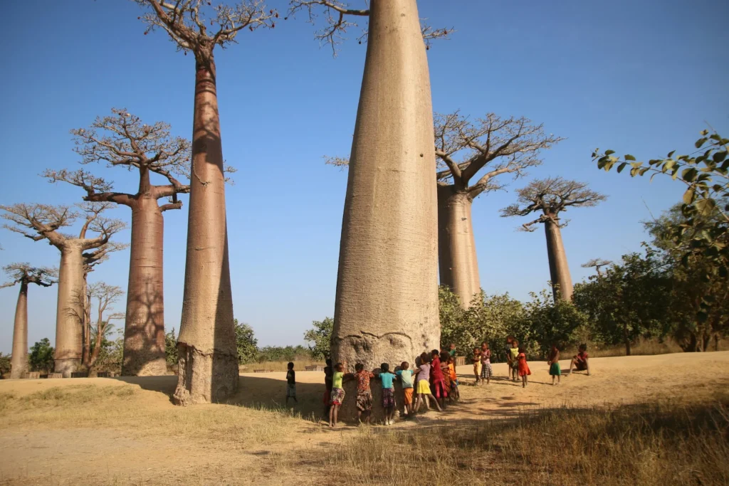 3 Days Tanzania Camping Safari