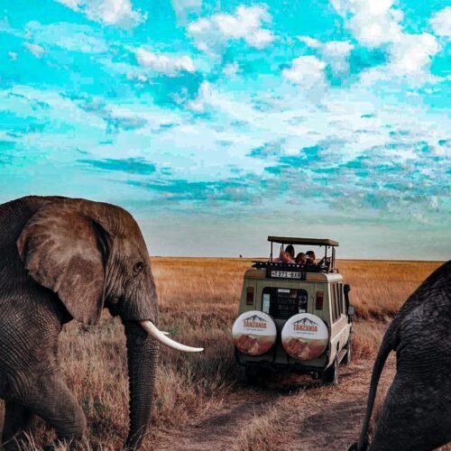 Arusha-to-Tarangire-National-Park