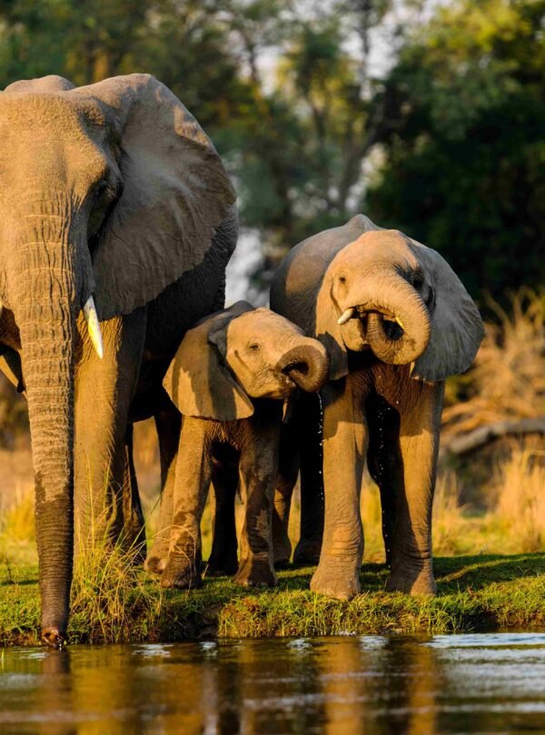 Tarangire National Park