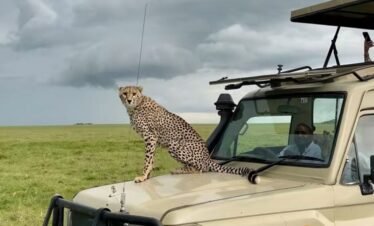 7 Days Tanzania Budget Camping Safari