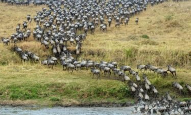 9 Days Serengeti Migration Safari with Culture
