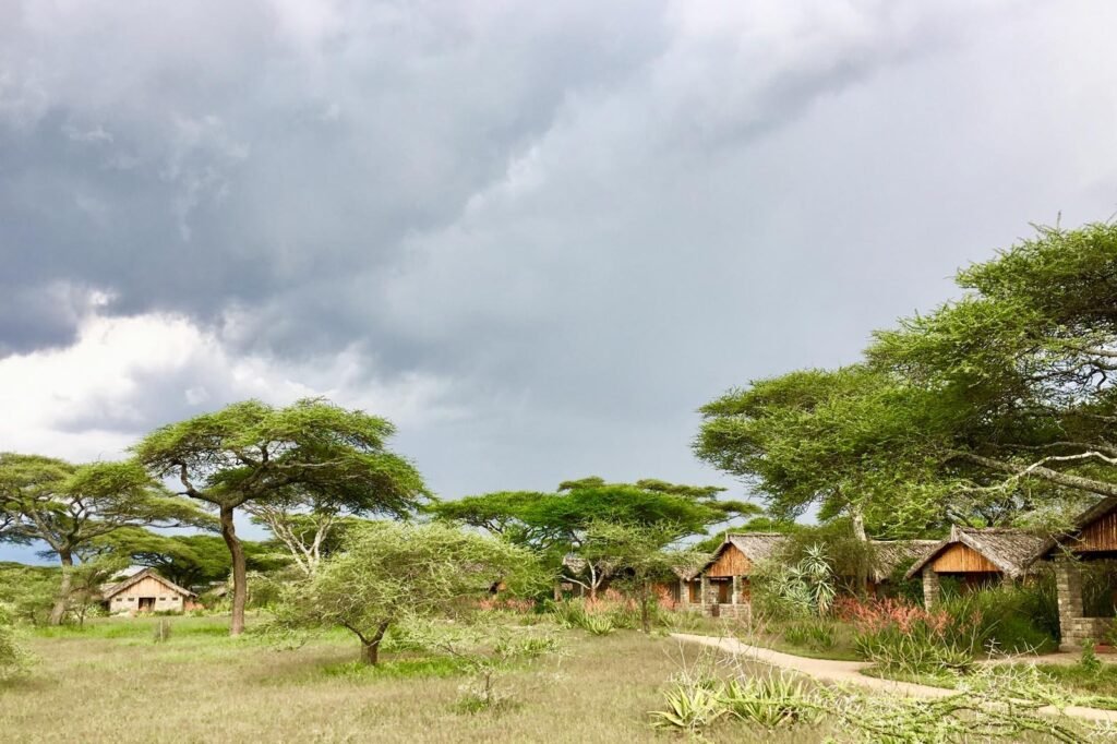 5 Days Ndutu Great Migration Safari