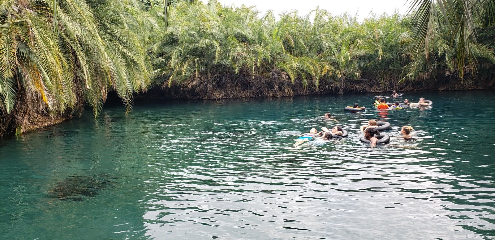 Chemka Hot Springs Day Tour