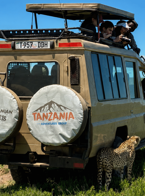 5-Day Private Big Five Safari with Lodge Accommodation
